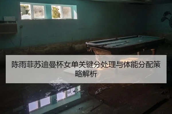 chen-yu-fei-su-di-man-bei-nv-dan-guan-jian-fen-chu-li-yu-ti-neng-fen-pei-ce-lve-jie-xi-3-223.jpg